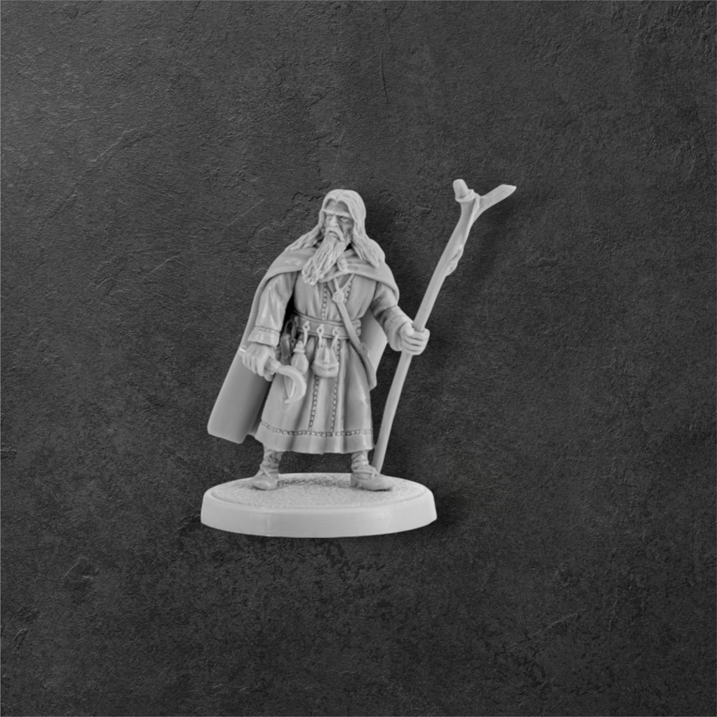 Pagan Priest