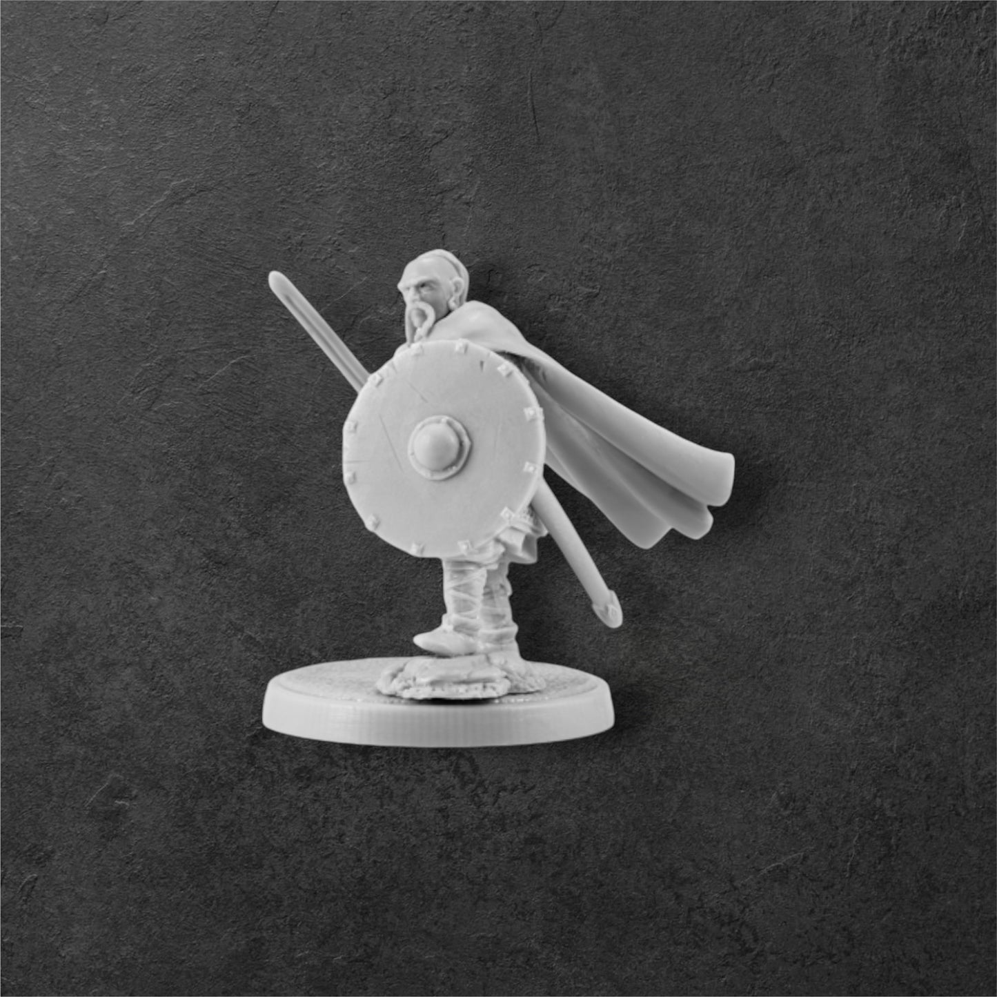 Slavic Warlord (Prince Svyatoslav). 28 mm Miniatures