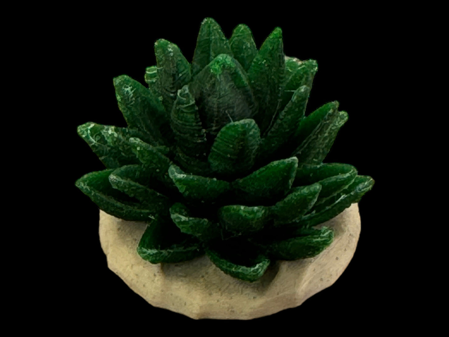 Desert Cactus Ideal for games like SAGA, D&D and other wargames. 28 mm scale #8