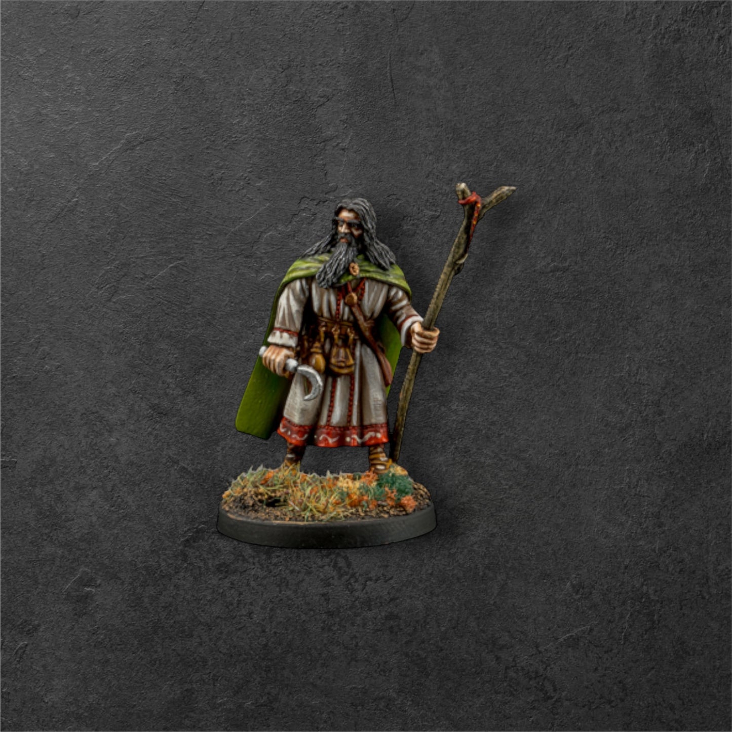 Pagan Priest