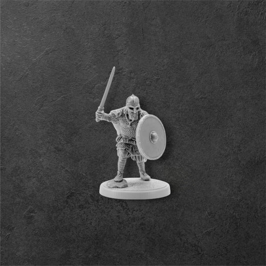 Viking Warlord