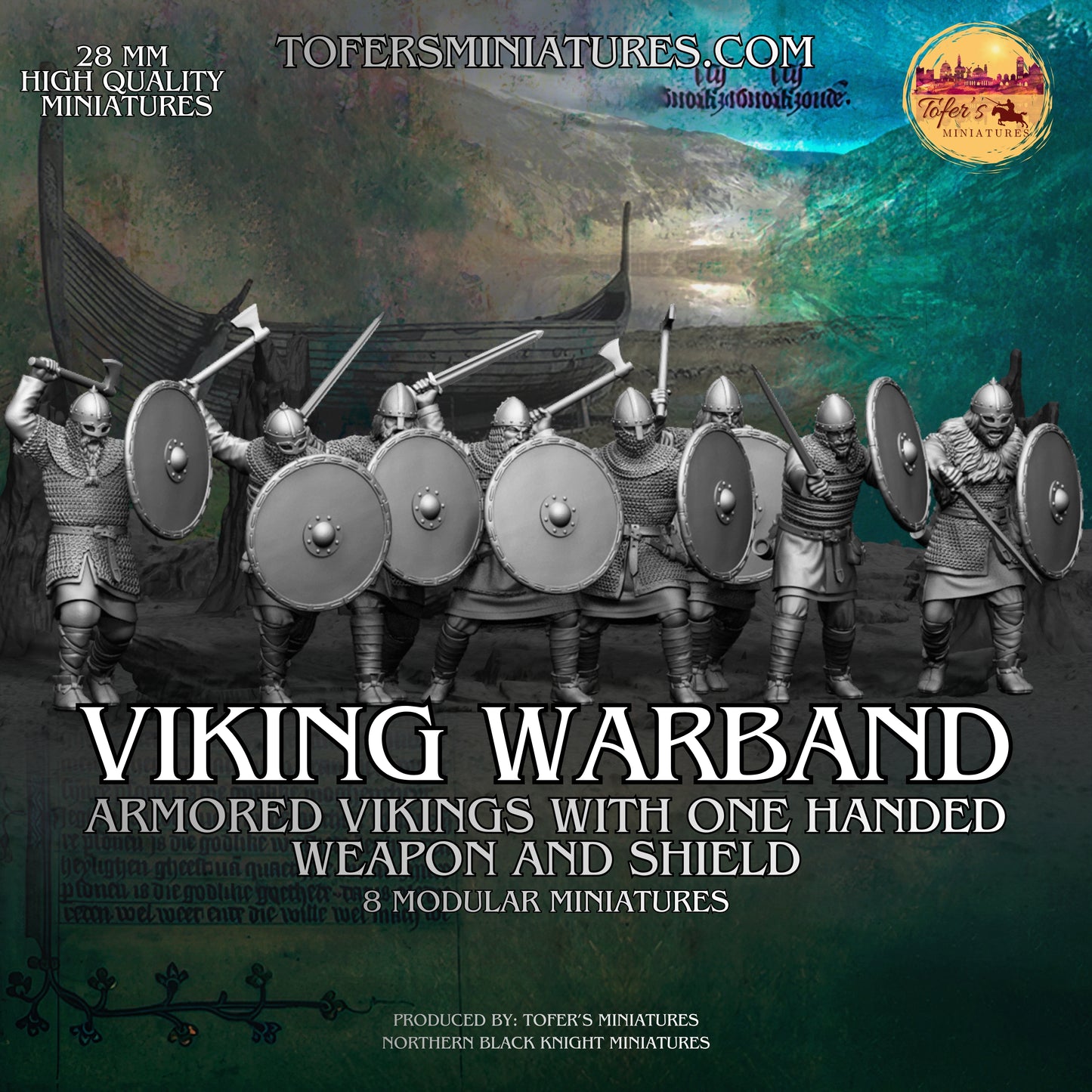 Armored Viking Warband