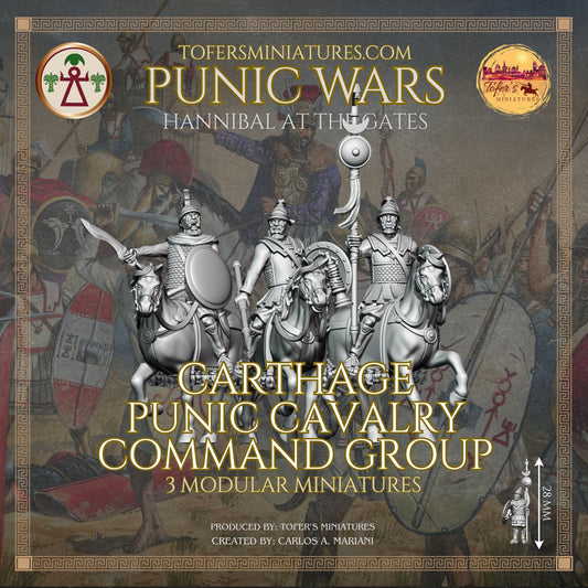 Punic Cavalry Command Group