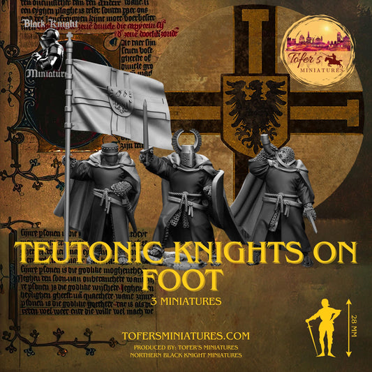 13th Century - Teutonic Knights on foot. 28 mm Miniature