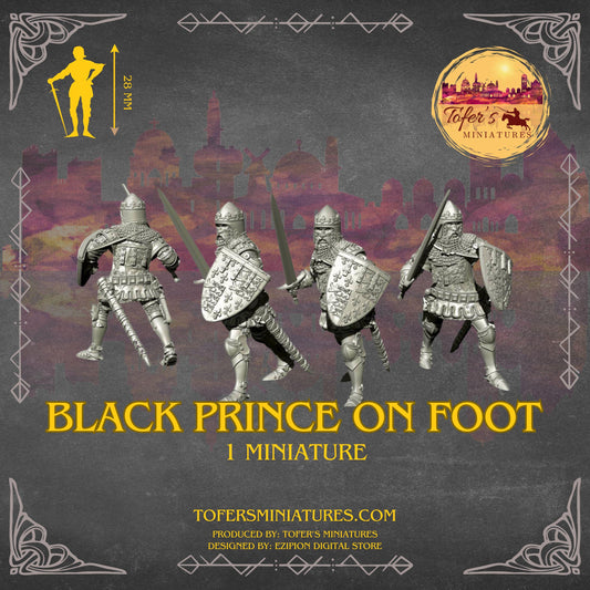 14th English Black Prince on Foot. 28 mm Miniatures