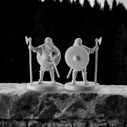 Viking Warlord. 28 mm Miniatures